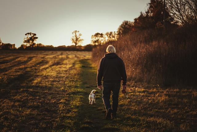 man walking an hour daily for weight loss