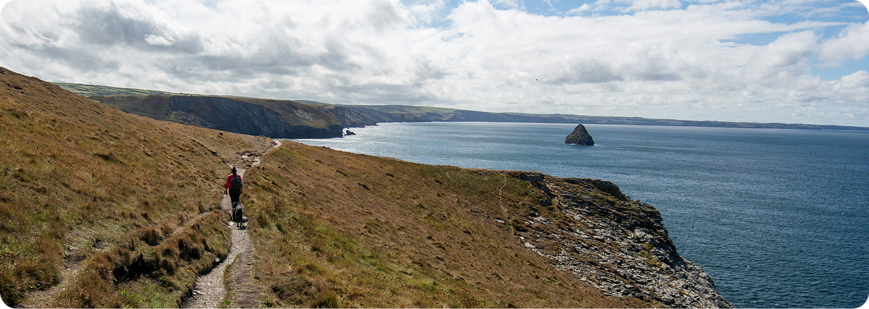 Coastal walking path